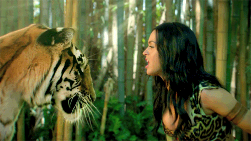 7 coisas para a Katy Perry fazer em Curitiba