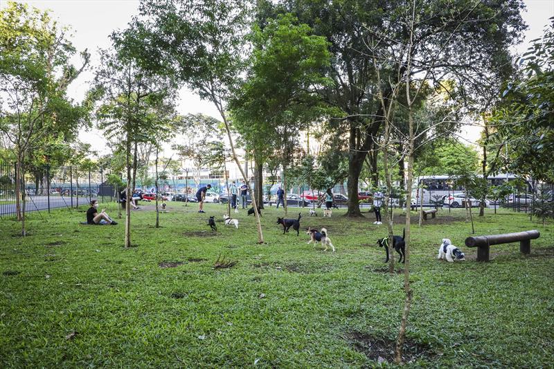 00325827 Confira 5 espaços exclusivos para a diversão dos bichinhos