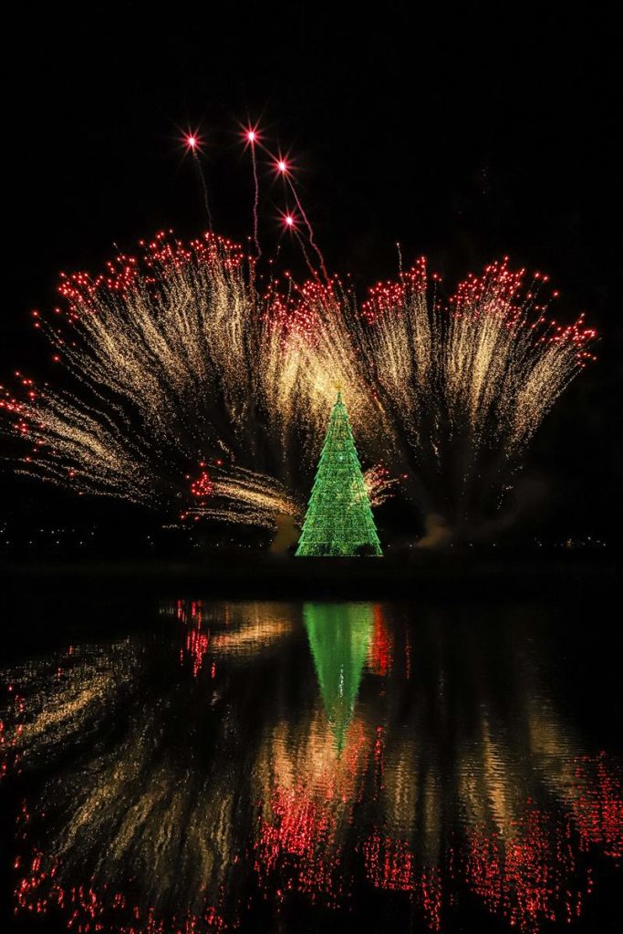 00329330 Maior árvore de Natal da cidade é acesa sob fogos de artifício