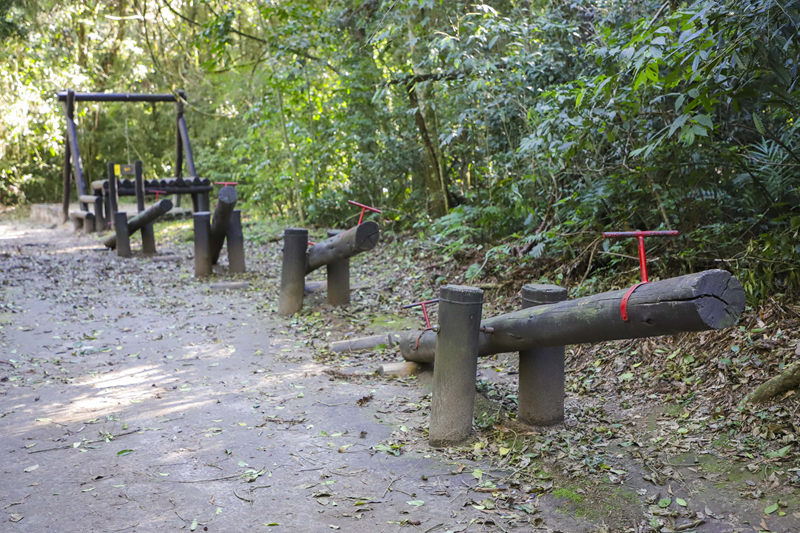 Bosque Reinhard Maack recebe reformas e novos brinquedos