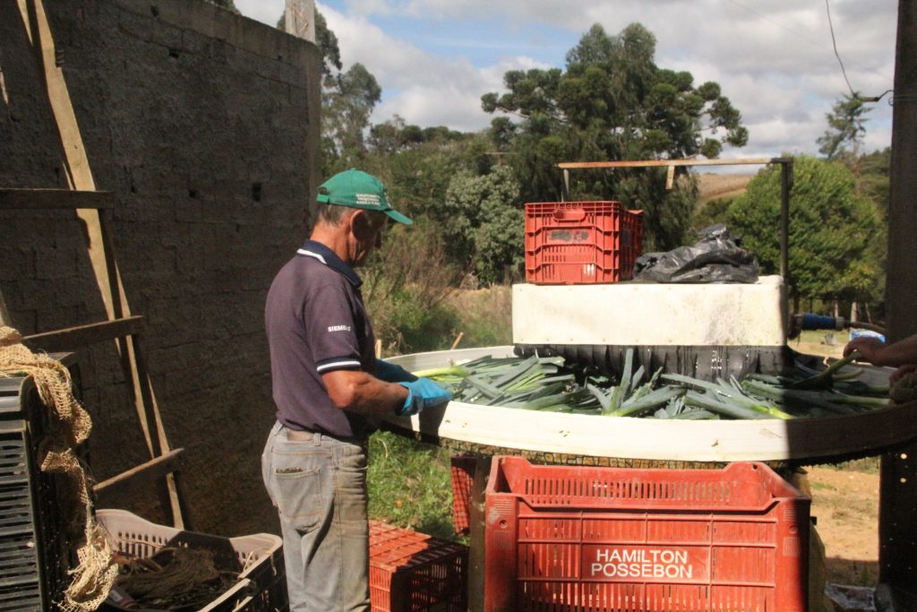 Dia do Agricultor: Mais de 3 mil agricultores impulsionam a economia e fortalecem a área rural de São José dos Pinhais