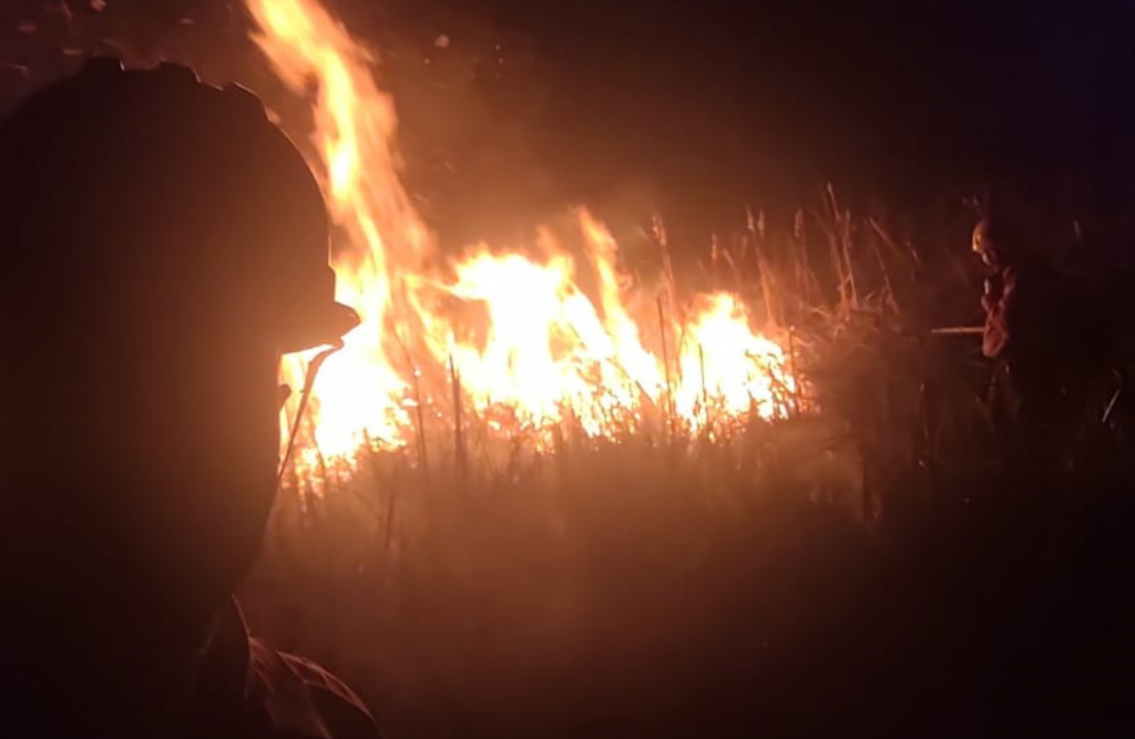 Defesa Civil de São José dos Pinhais combateu diversos focos de incêndio florestal nos últimos dias