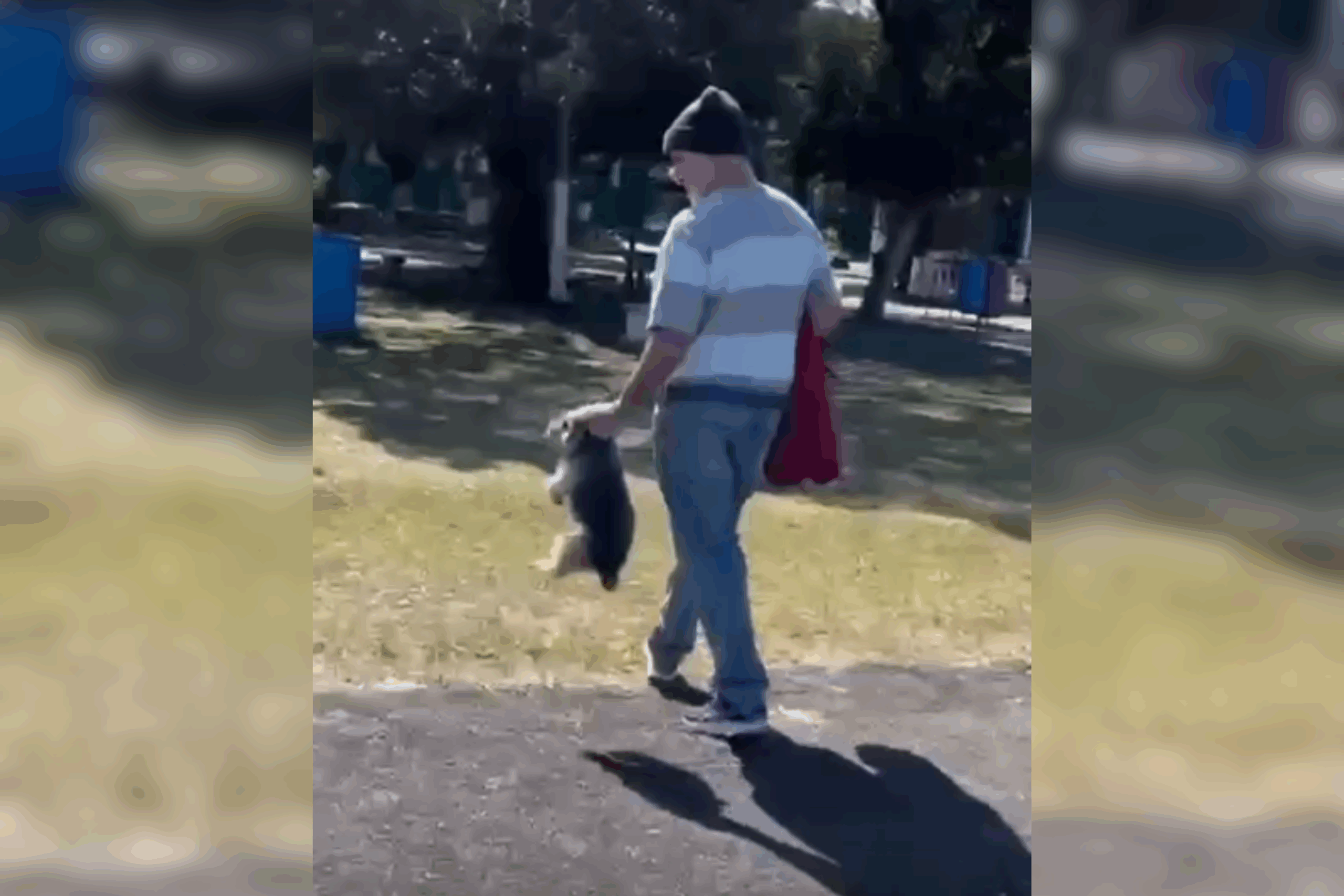 Polícia Civil instaura inquérito para apurar caso de maus-tratos a cachorro em Curitiba – CBN Curitiba – A Rádio Que Toca Notícia