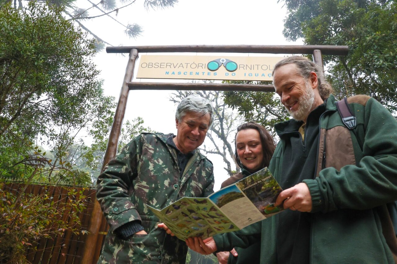Lugar perto de Curitiba preserva a Mata Atlântica e vira um paraíso para se observar pássaros
