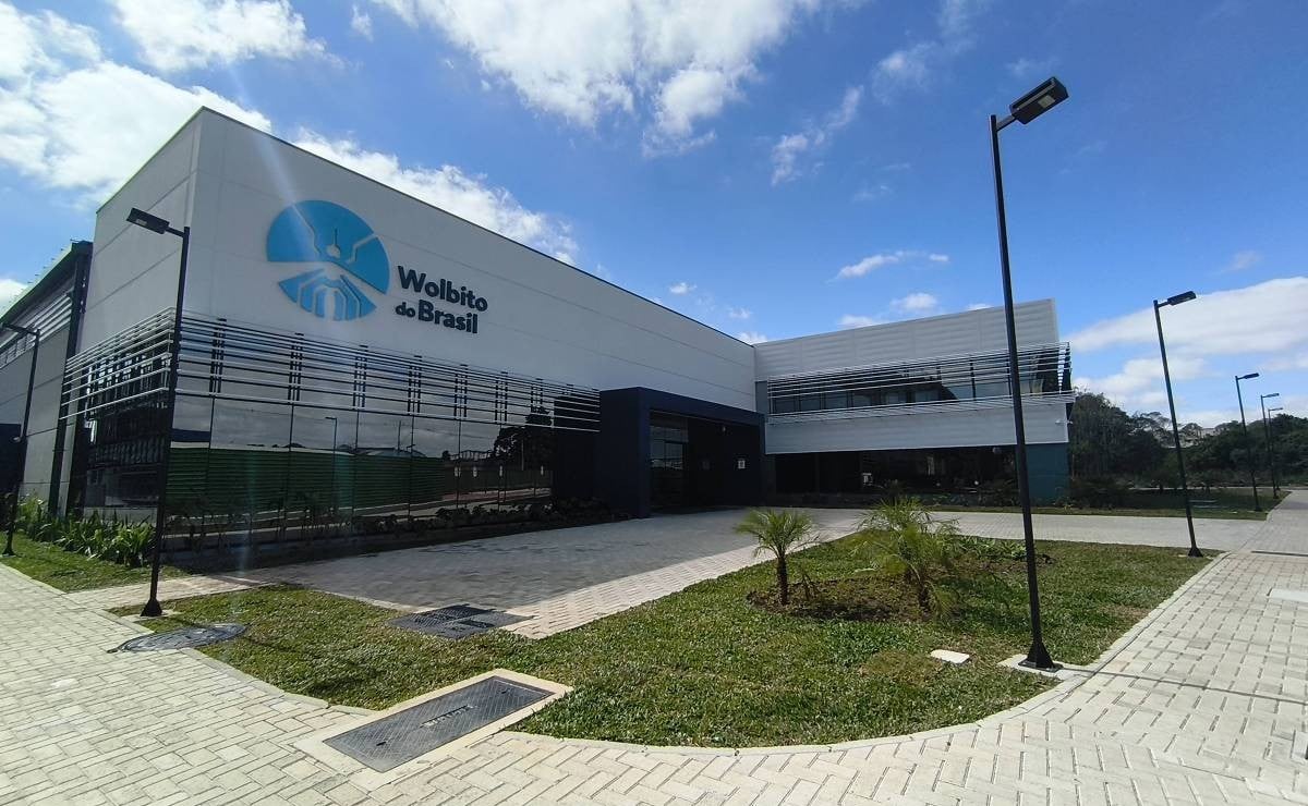 fabrica-desenvolve-mosquitos-combate-dengue-curitiba