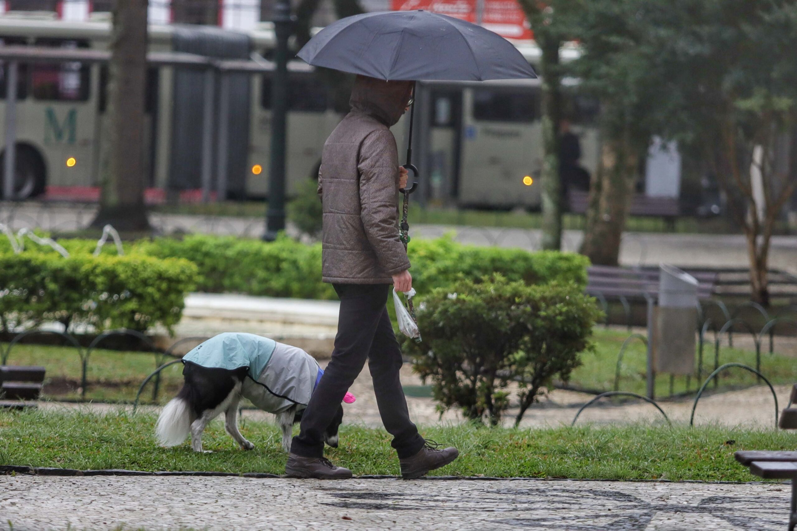 Inmet emite alerta de tempestade para 367 cidades do Paraná; veja quais