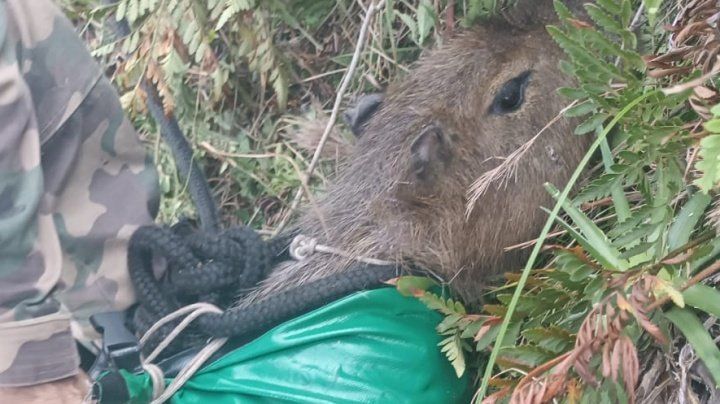 Polícia identifica suspeito de matar empresário em Autódromo de SP
