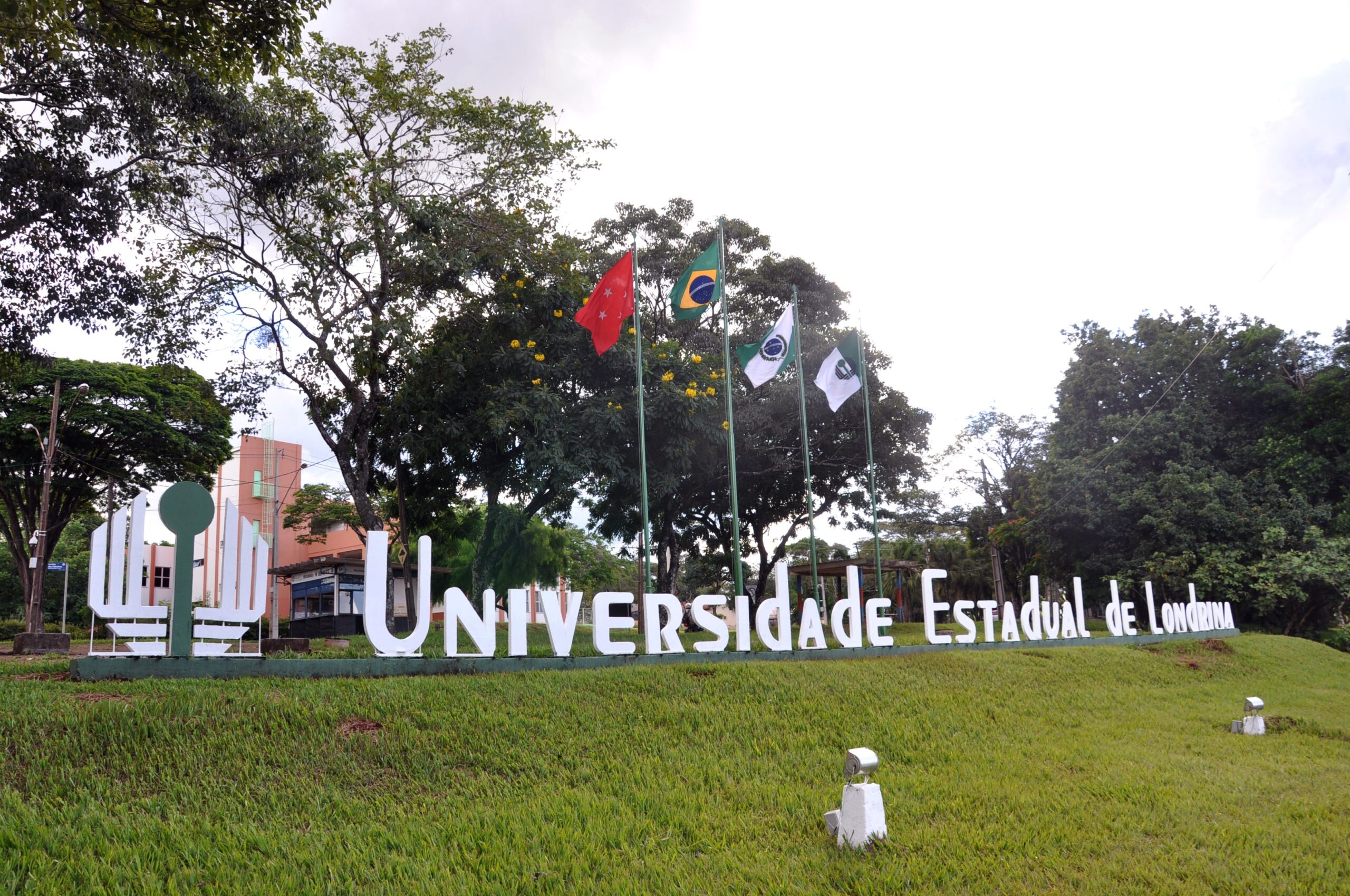 Vestibular 2026 da UEL tem mais de 3,1 mil vagas disponíveis; saiba como se inscrever