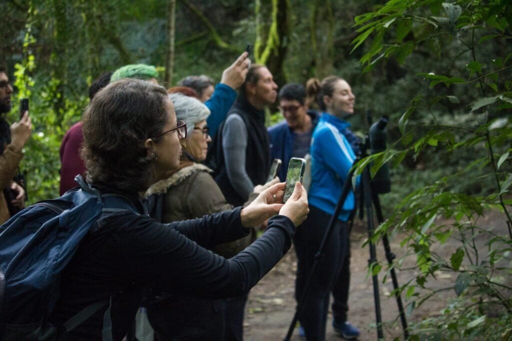Mata Atlântica EcoFestival vai movimentar o Litoral do Paraná, Serra do Mar e Grande Curitiba