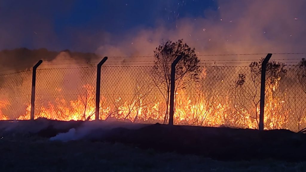Defesa Civil de São José dos Pinhais combate focos de queimada em áreas verdes