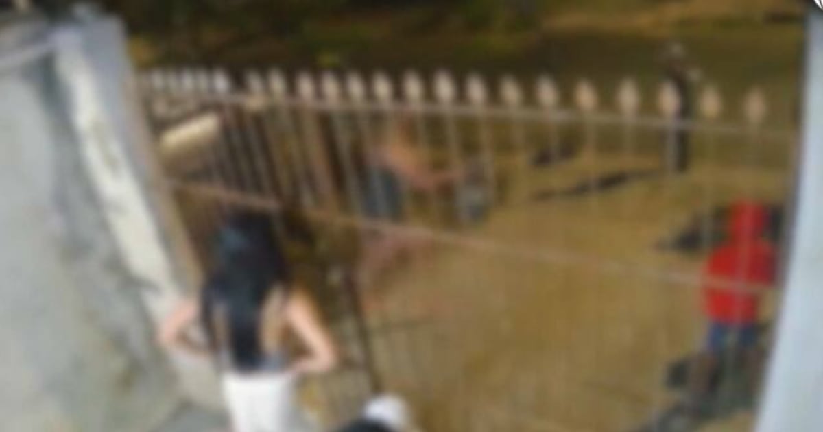Homem atira em vizinha após discussão sobre som alto em Curitiba – Noticias R7