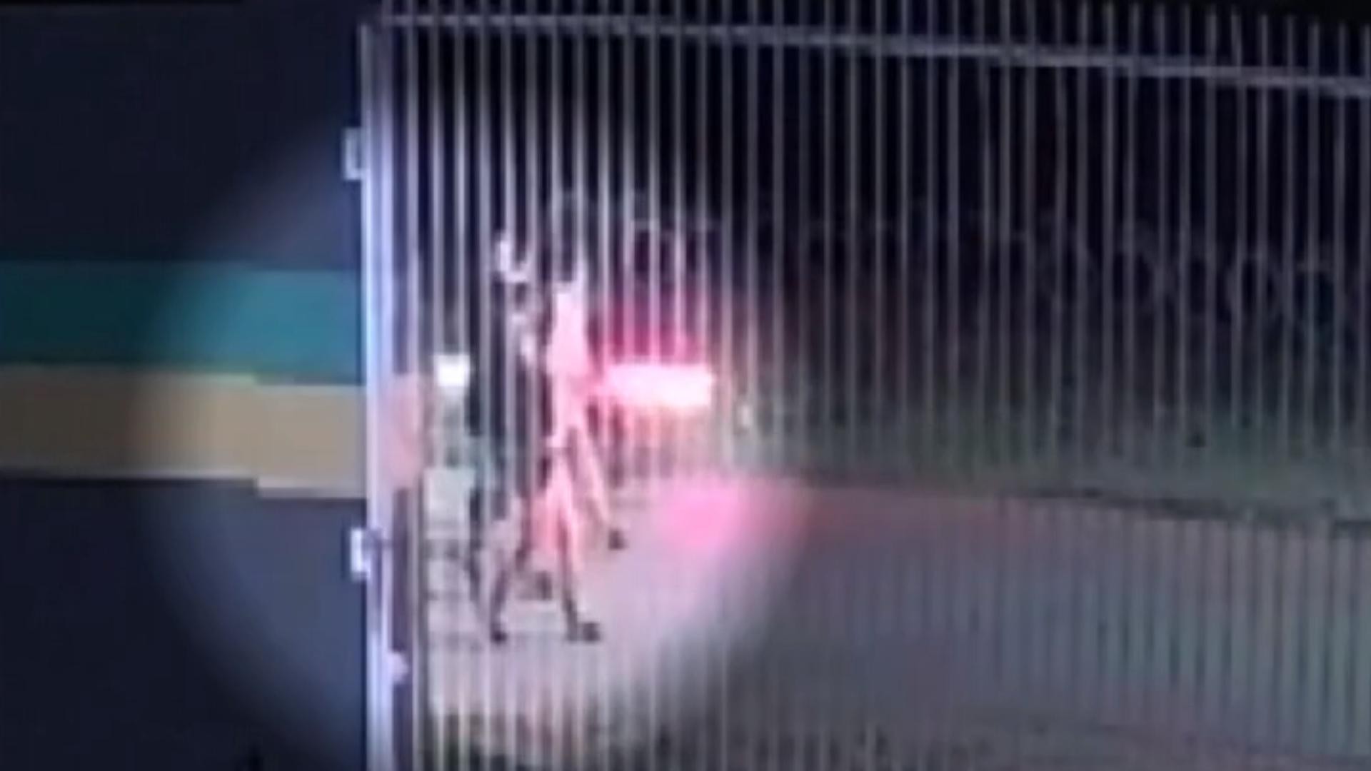 Motociclista invade marcha estudantil da PM, atropela oito alunos e morre após bater em estrutura de concreto