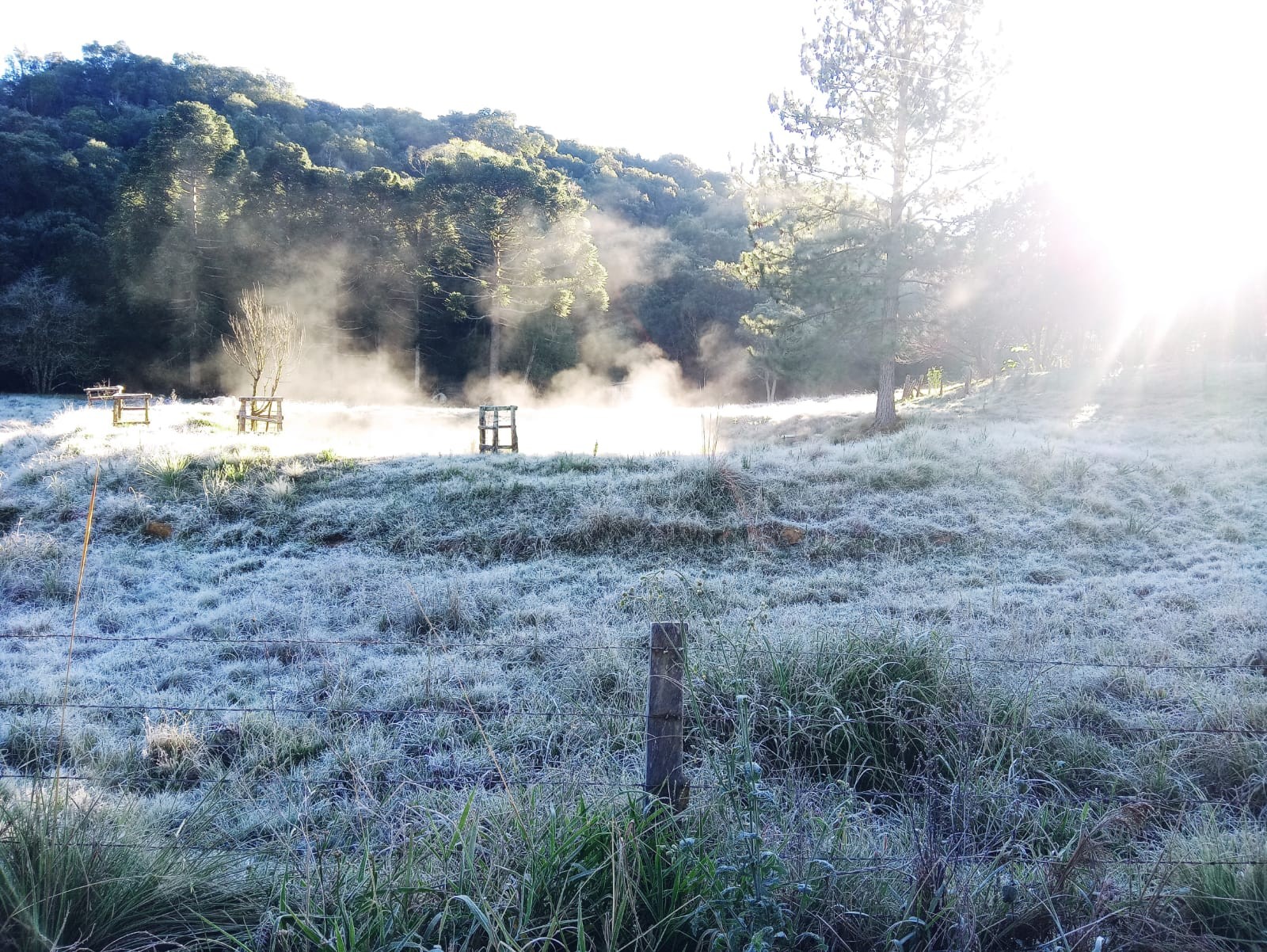Geada e frio intenso: veja previsão do tempo para o fim de semana, no Paraná