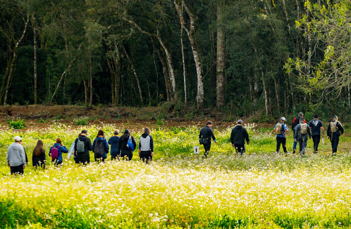 Caminhada na Natureza