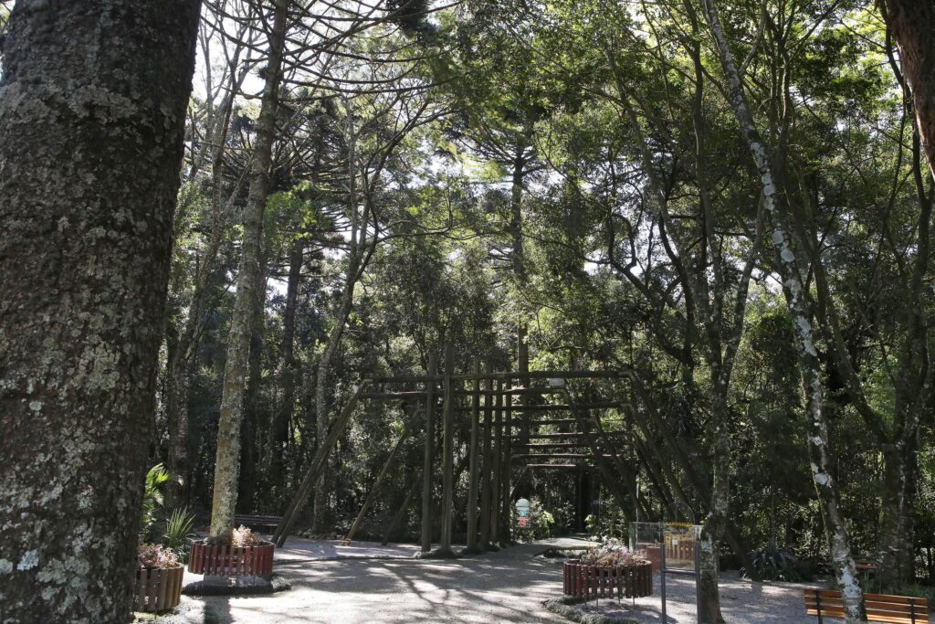 As curiosidades mais incríveis sobre Curitiba que até curitibano esquece 6 00262047 As curiosidades mais incríveis sobre Curitiba que até curitibano esquece