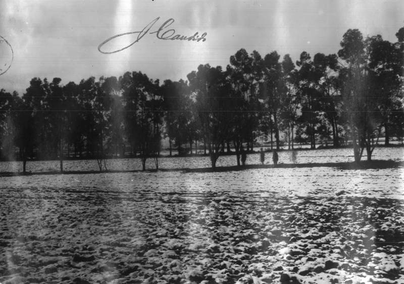 De cidade rural a metrópole, Curitiba tem uma rica história na agricultura do Paraná 2 IMG 0343 De cidade rural a metrópole, Curitiba tem uma rica história na agricultura do Paraná