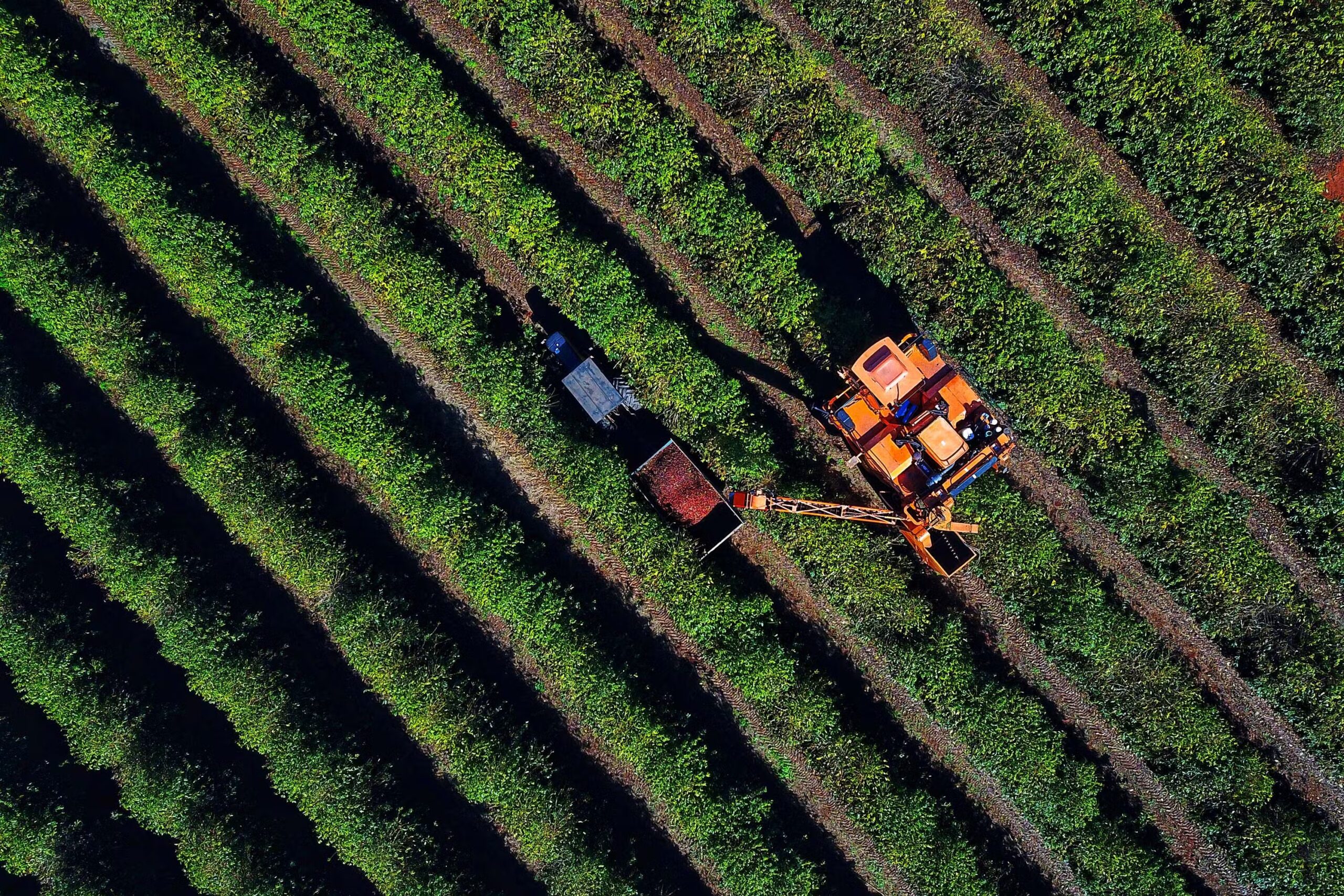 PSS do Instituto de Desenvolvimento Rural do Paraná tem 173 vagas disponíveis com salários entre R$ 4,4 e R$ 9,4 mil; veja como se inscrever