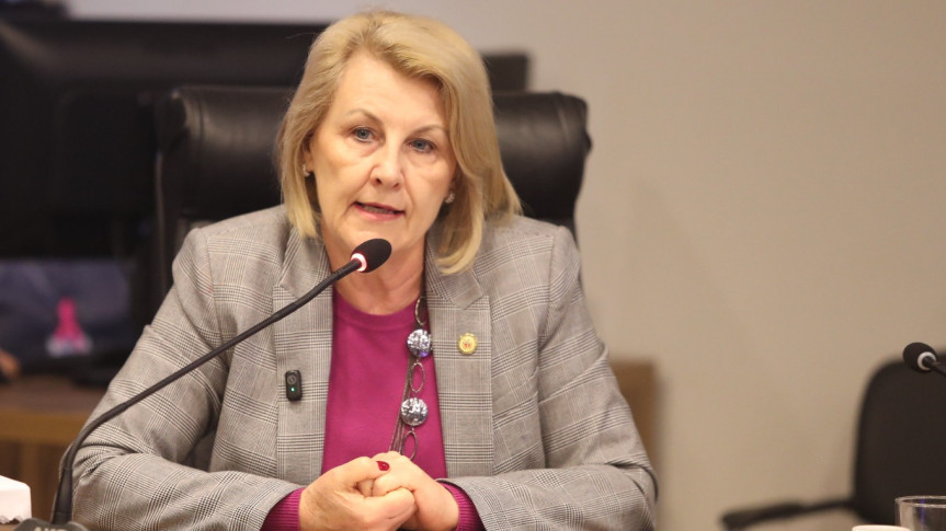 Deputada Secretária Márcia Huçulak (PSD).