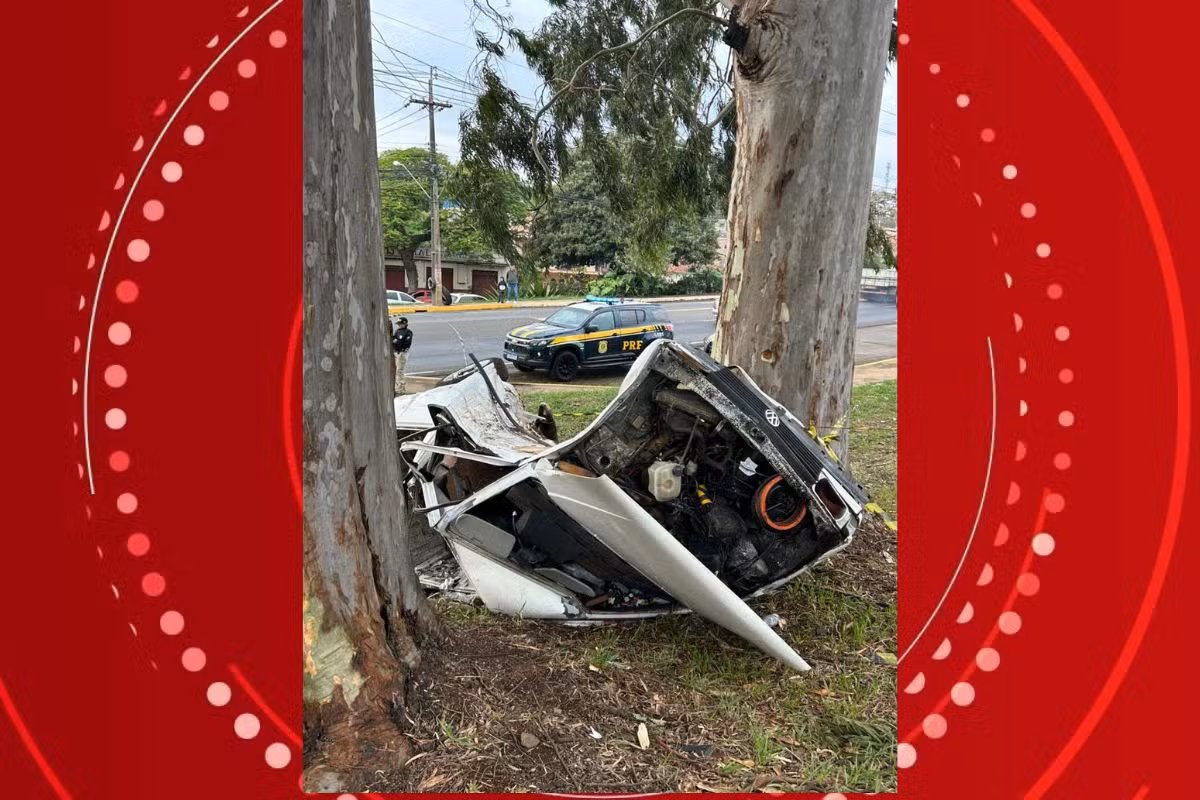 Motorista perde controle do carro, entra em rodovia, bate em árvore e morre após ser ejetado, no PR