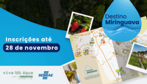 Destino Miringuava 2025 03 banner p20454 thumb resized.png