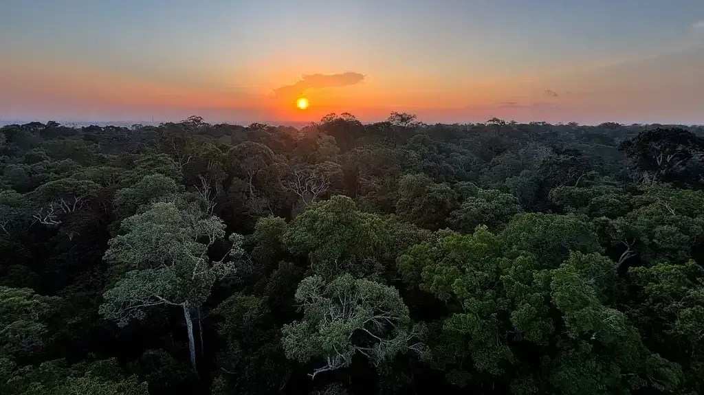 Chefe da ONU para Clima vê no TFFF "passo crucial" na proteção do planeta