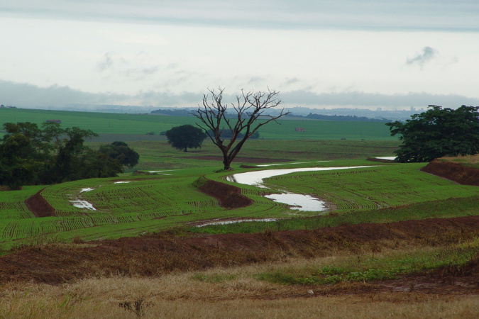 foto manejo de solos lavoura com probelma de compactacao baixa infiltracao de agua celso d s.jpeg