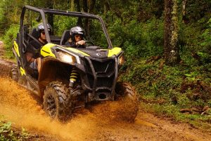 uvt trilha monte verde tripadvisor 300x201.jpg