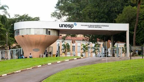 Unesp-Enem: veja resultados dos pedidos de isenção e desconto de inscrições