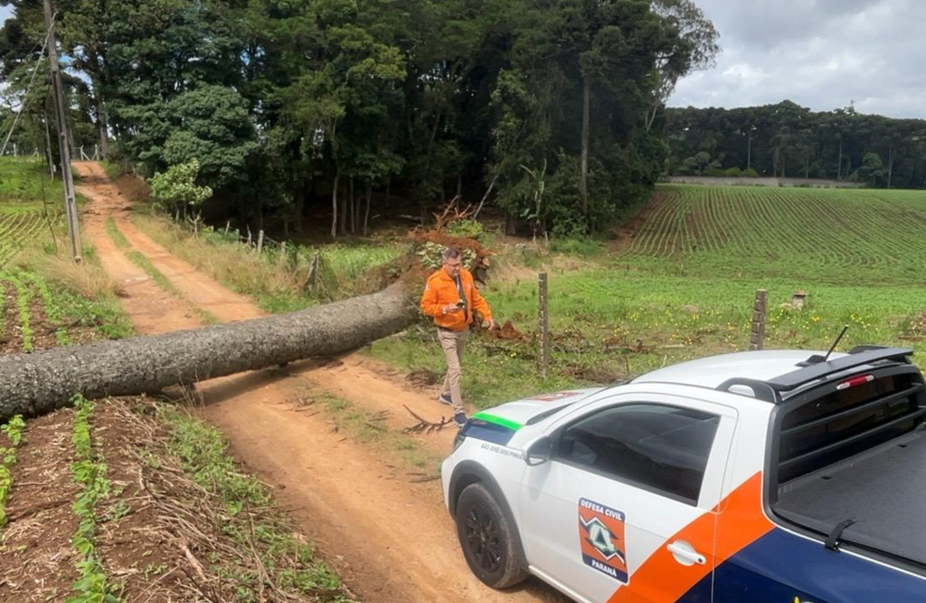Defesa Civil de São José dos Pinhais emite alerta para rajadas de vento e risco de destelhamentos e quedas de árvores