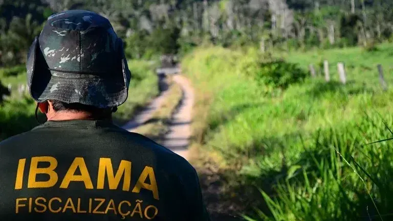 Ibama e Incra abrem concurso com salário de até R$ 9,8 mil; veja detalhes