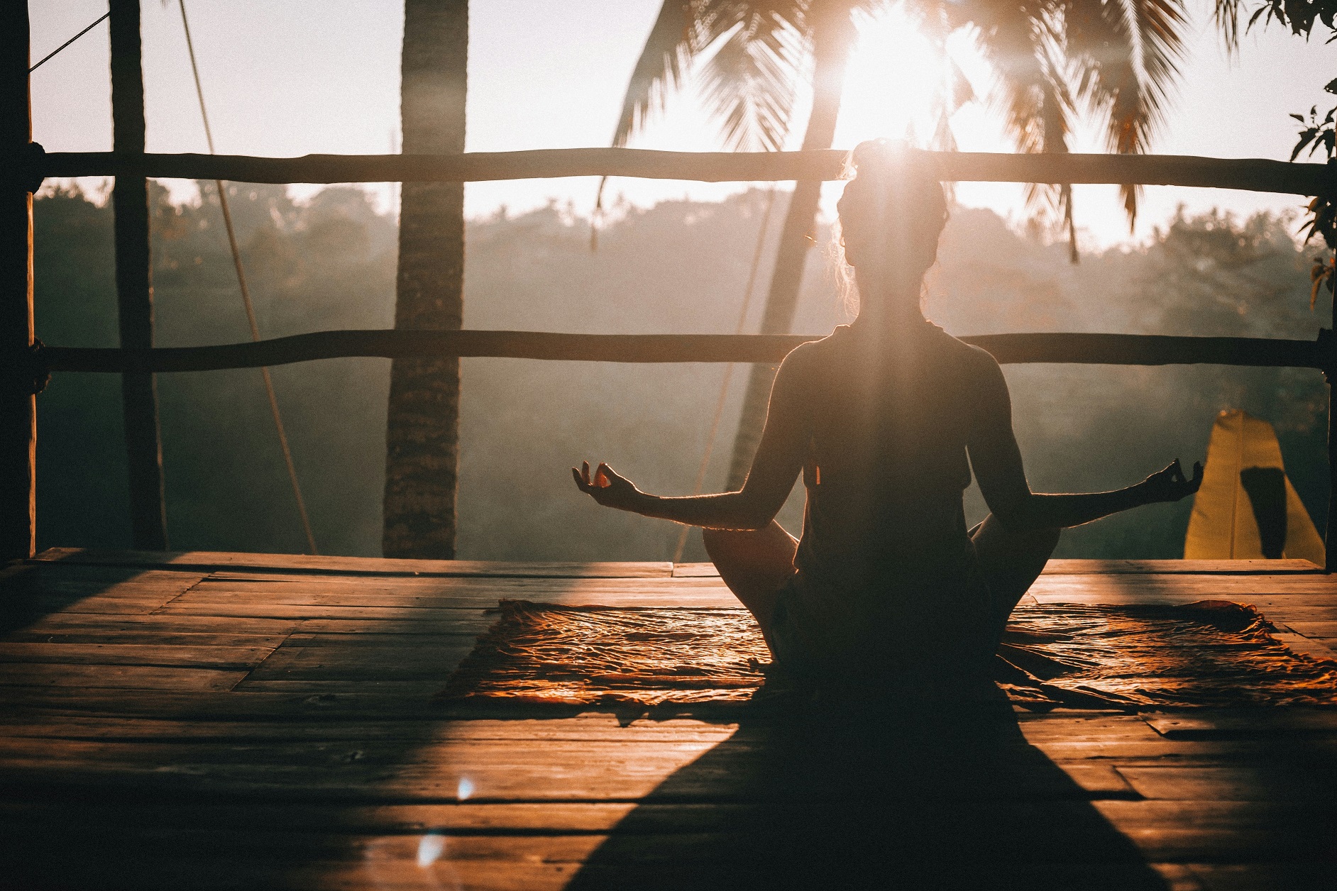 Foto de Jared Rice unsplash