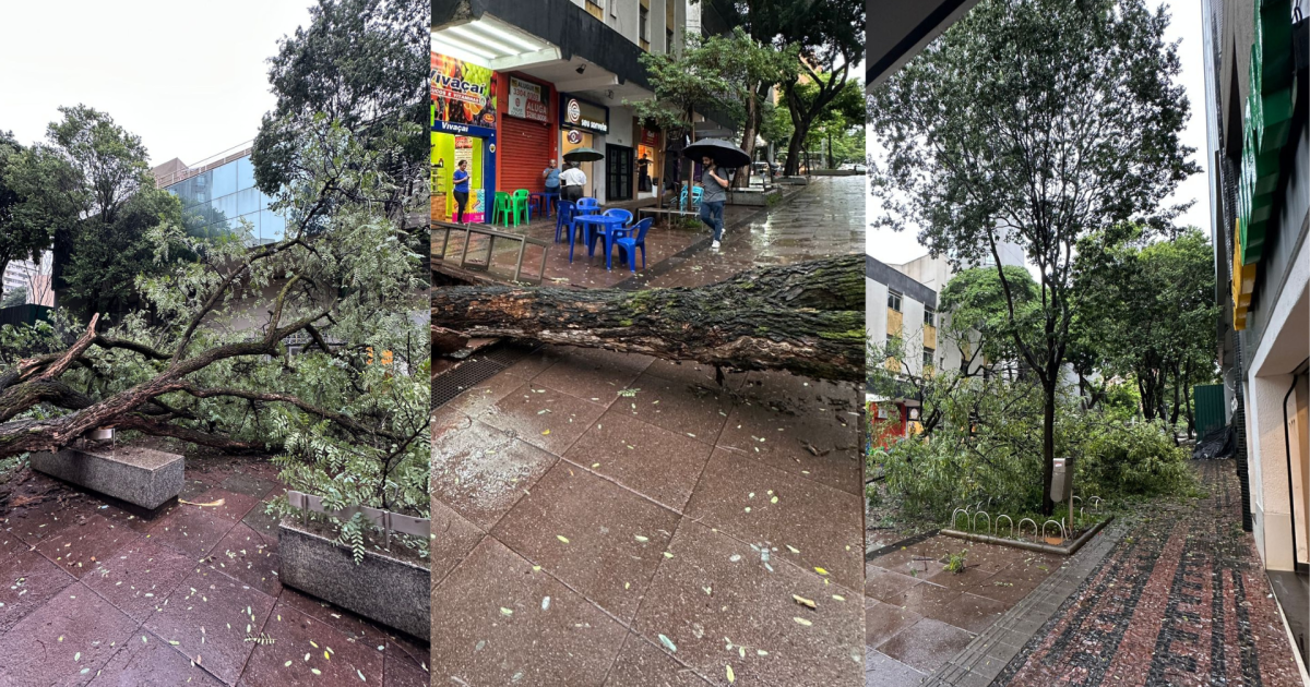 Chuvas seguem causando estragos em Minas Gerais; veja imagens