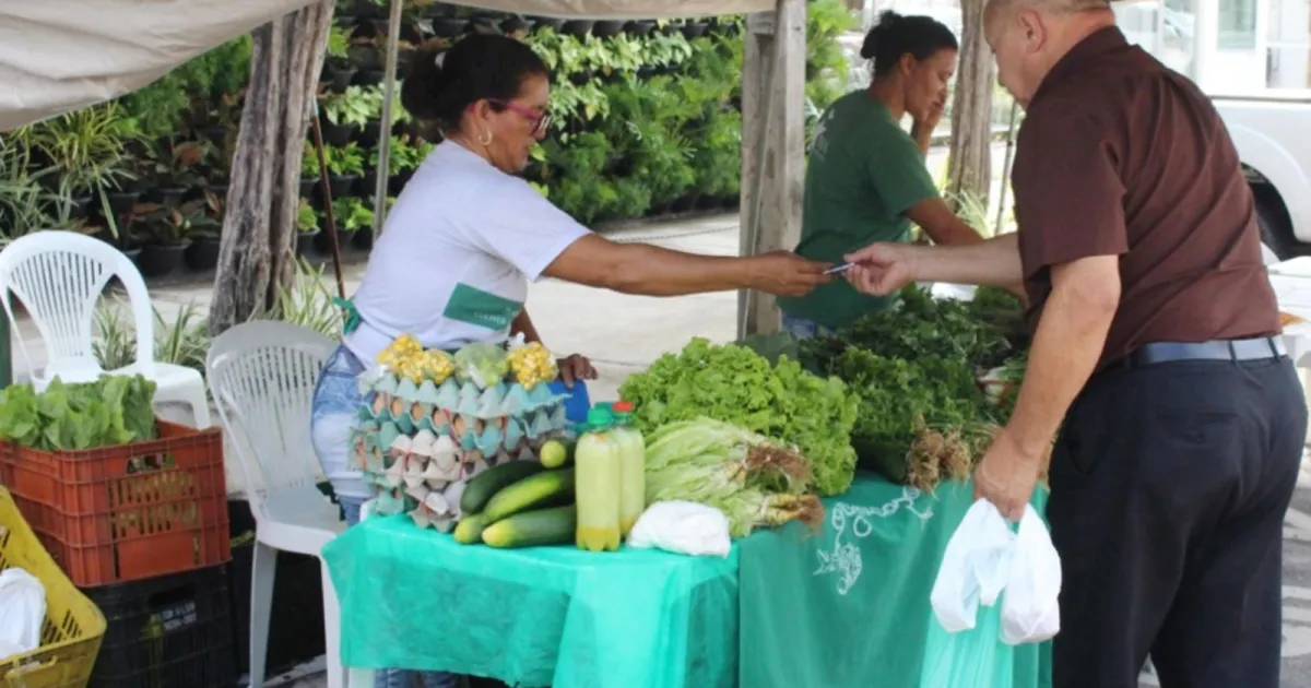 Governo fixa preço mínimo em R$ 5 mil para proteger agricultor familiar
