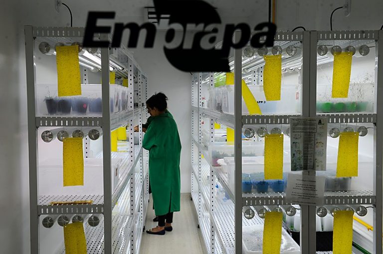 embrapa 768x509.jpg