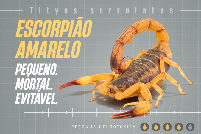 escorpiao banner 1600x1080.jpg