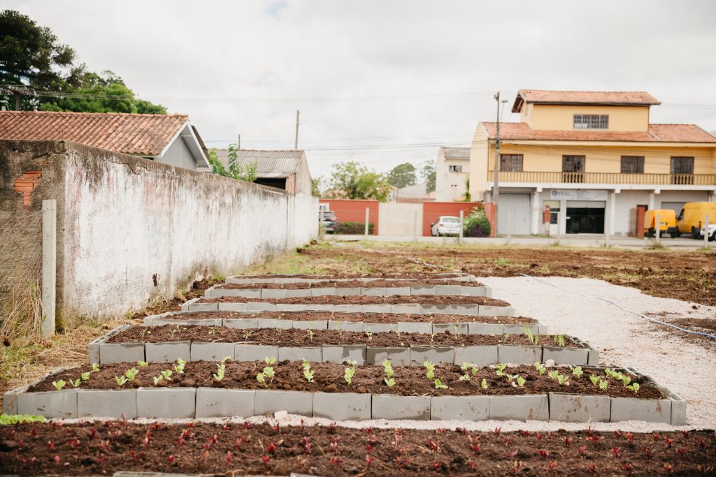 Horta comunitária no Parque da Fonte