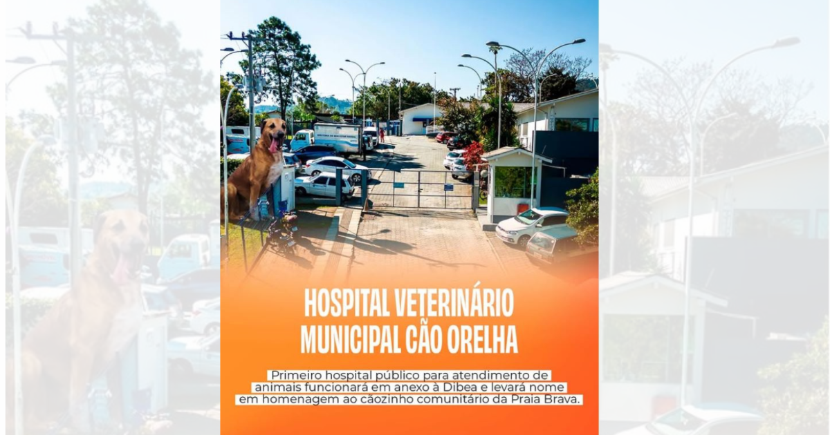 Primeiro hospital veterinário público de Floripa homenageará Cão Orelha