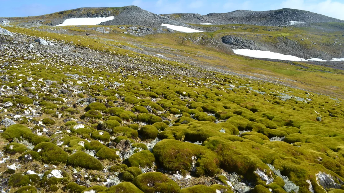 Antártica sob o gelo: pesquisa inédita revela paisagem desconhecida