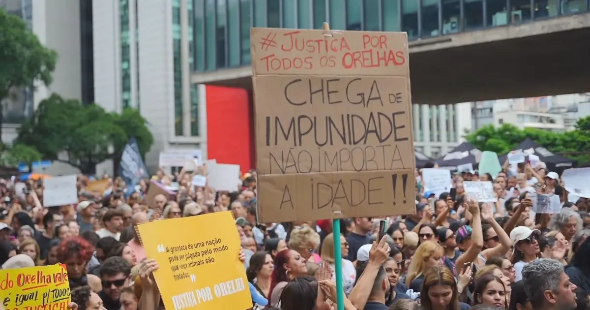 Morte do cão Orelha mobiliza manifestantes em protestos neste domingo (1º)
