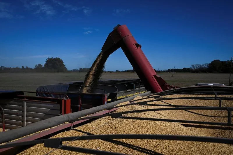 Safra do Paraguai pode ser recorde em 2025/26