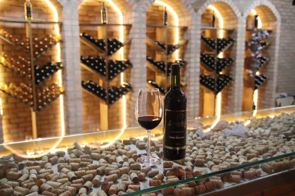 Turismo rural: Rota Caminho do Vinho reúne gastronomia, enoturismo e lazer em meio à natureza