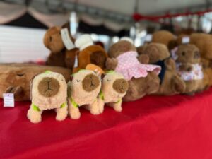 Edição especial da Feira de Artesanato de São José dos Pinhais oferece opções de presentes para o Dia das Mães