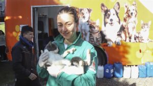 Notícias de Curitiba e do Paraná | Busão Curitiba 9 00568924 Notícias de Curitiba e do Paraná | Busão Curitiba