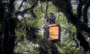 00573807 Notícias de Curitiba e do Paraná | Busão Curitiba