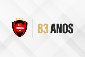Notícias de Curitiba e do Paraná | Busão Curitiba 18 WS2 TANGUC381