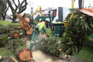 00582269 Notícias de Curitiba e do Paraná | Busão Curitiba