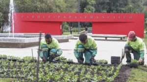 00583439 Notícias de Curitiba e do Paraná | Busão Curitiba